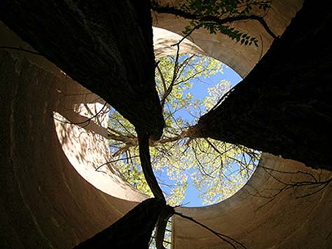 Silo View