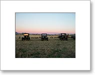 Matted Photo