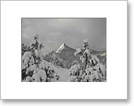 Matted Photo