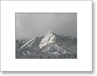 Matted Photo