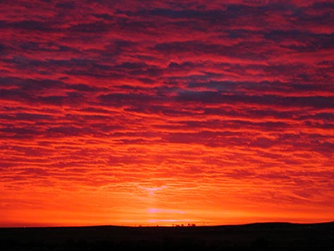 Red Dawn