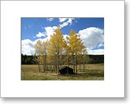 Matted Photo