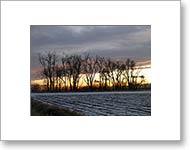 Matted Photo