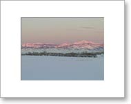 Matted Photo