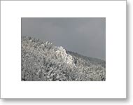 Matted Photo
