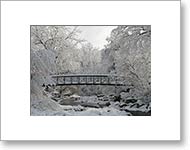 Matted Photo