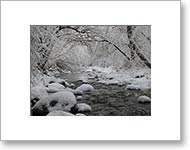 Matted Photo