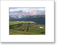 Matted Photo