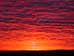 Red Dawn