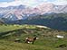 Rocky Mountain Elk